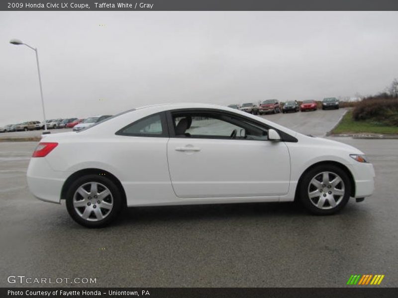 Taffeta White / Gray 2009 Honda Civic LX Coupe