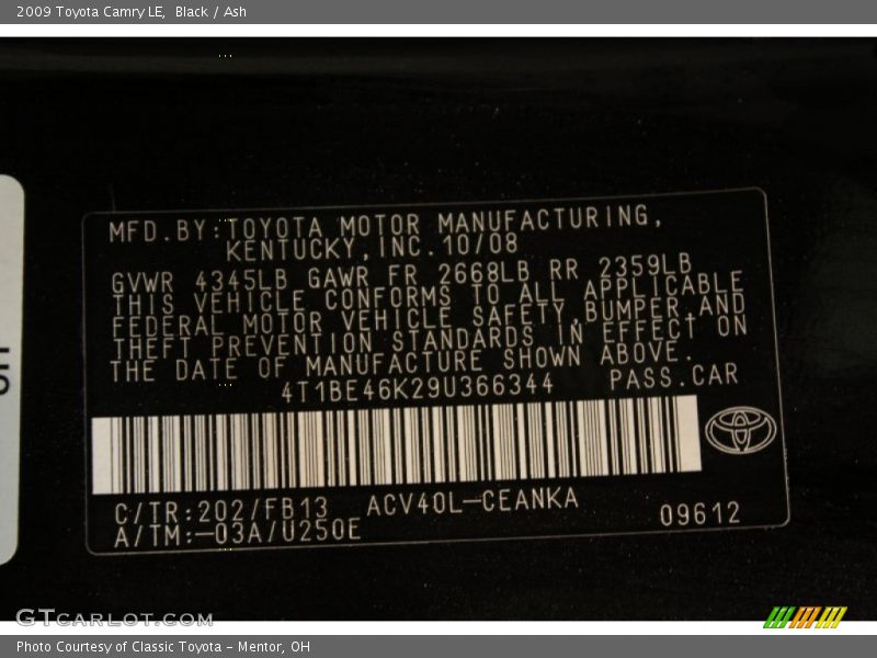 2009 Camry LE Black Color Code 202