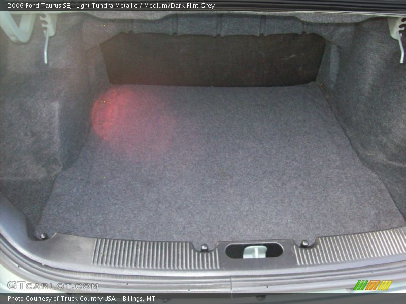 Light Tundra Metallic / Medium/Dark Flint Grey 2006 Ford Taurus SE