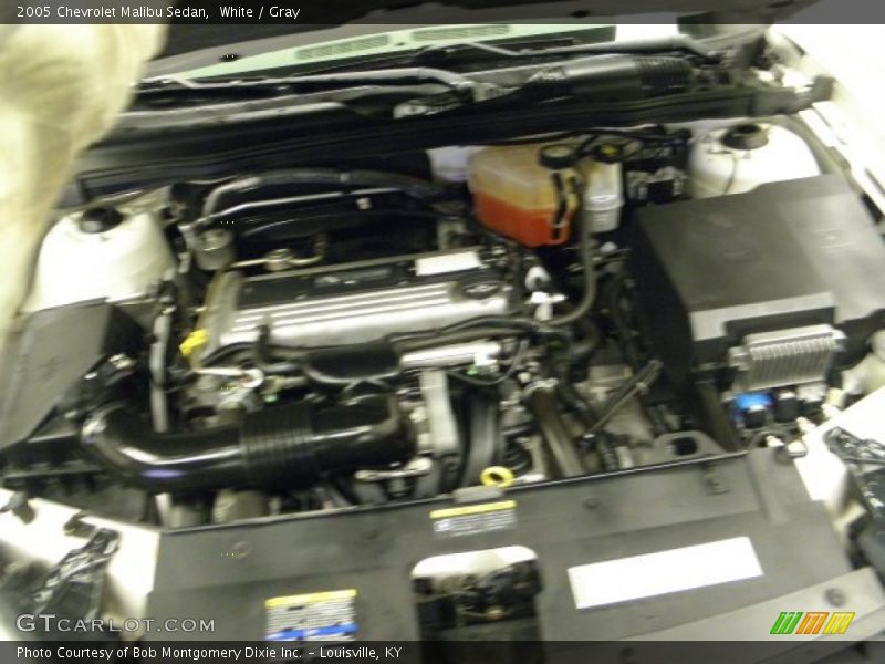 White / Gray 2005 Chevrolet Malibu Sedan