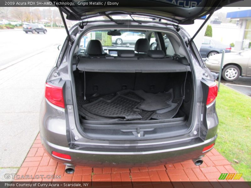 Grigio Metallic / Ebony 2009 Acura RDX SH-AWD Technology