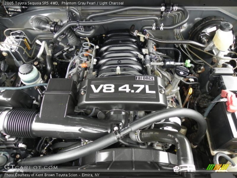 Phantom Gray Pearl / Light Charcoal 2005 Toyota Sequoia SR5 4WD