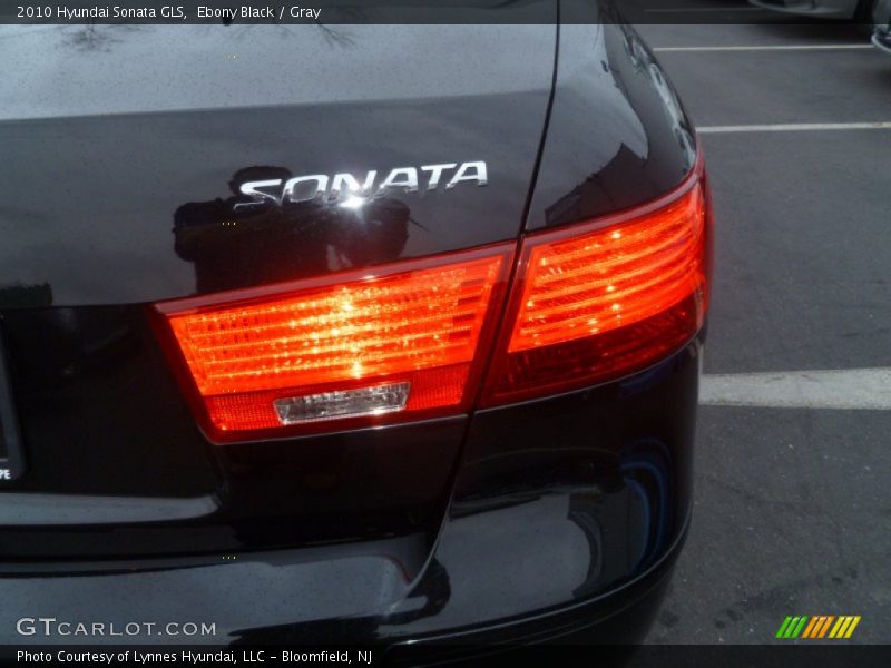 Ebony Black / Gray 2010 Hyundai Sonata GLS
