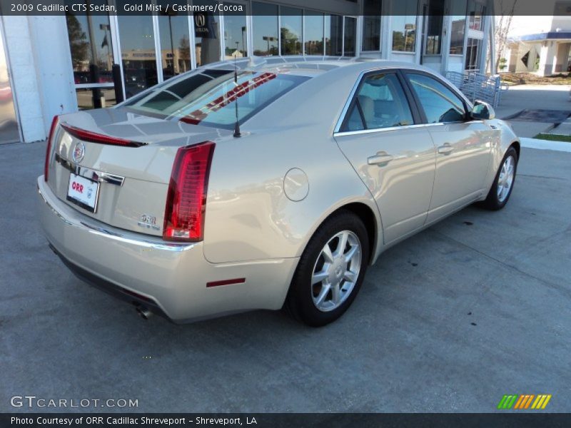 Gold Mist / Cashmere/Cocoa 2009 Cadillac CTS Sedan