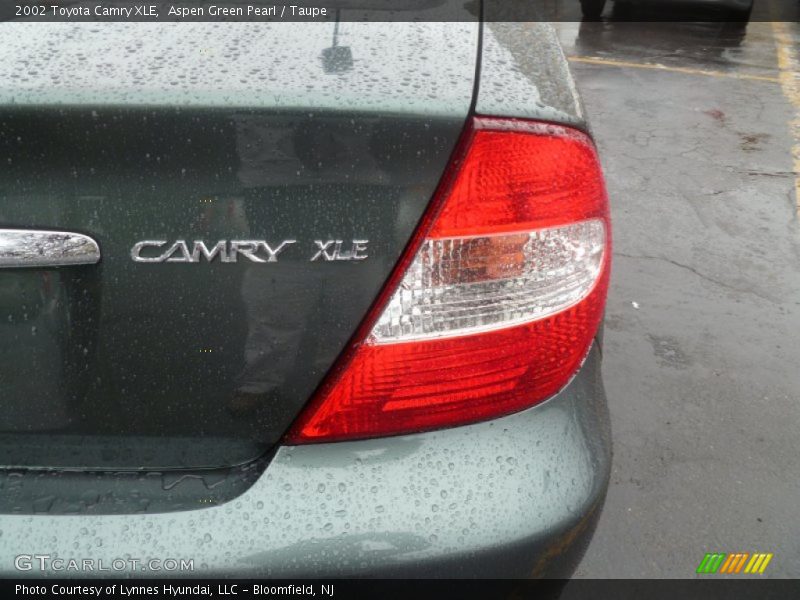 Aspen Green Pearl / Taupe 2002 Toyota Camry XLE