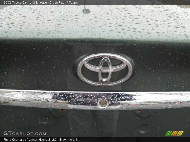 Aspen Green Pearl / Taupe 2002 Toyota Camry XLE