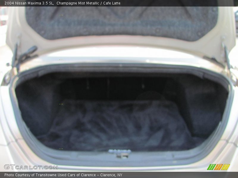 Champagne Mist Metallic / Cafe Latte 2004 Nissan Maxima 3.5 SL