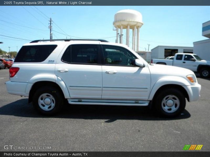 Natural White / Light Charcoal 2005 Toyota Sequoia SR5