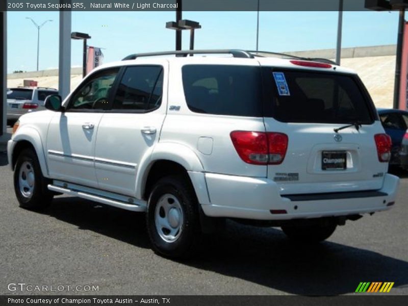 Natural White / Light Charcoal 2005 Toyota Sequoia SR5