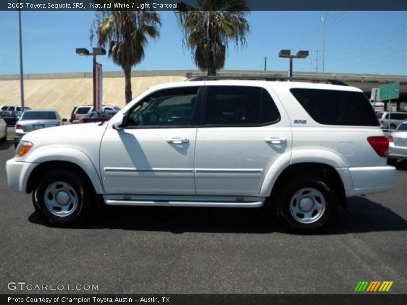 Natural White / Light Charcoal 2005 Toyota Sequoia SR5