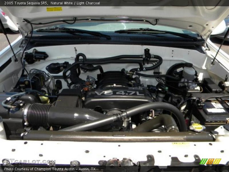 Natural White / Light Charcoal 2005 Toyota Sequoia SR5