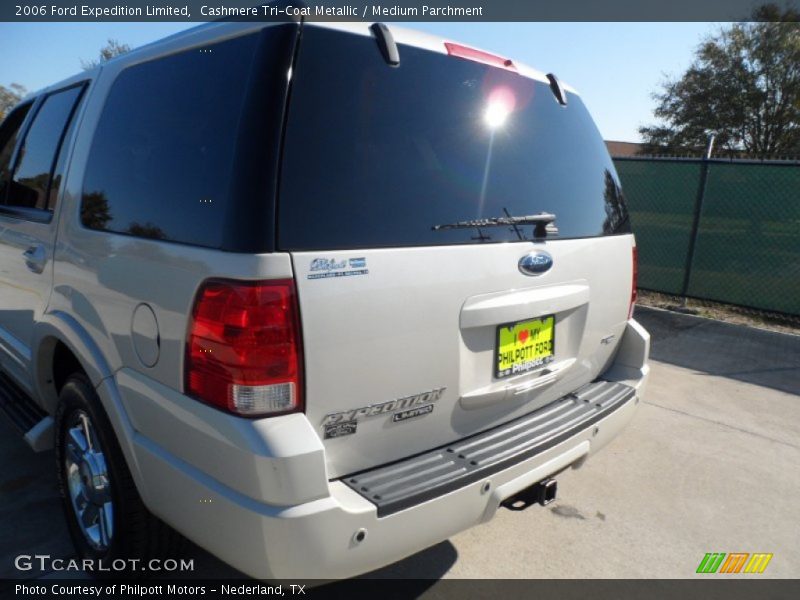 Cashmere Tri-Coat Metallic / Medium Parchment 2006 Ford Expedition Limited