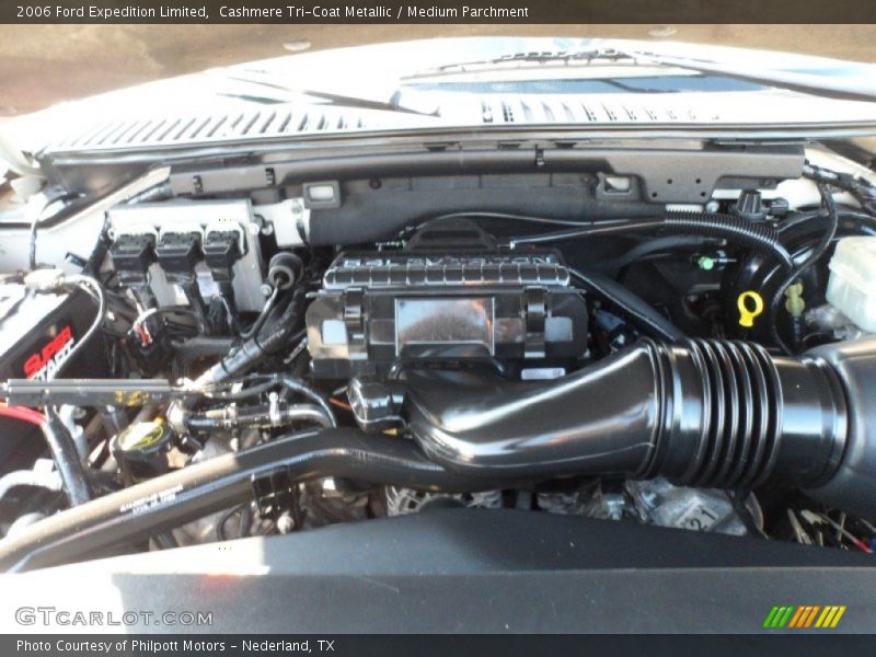 Cashmere Tri-Coat Metallic / Medium Parchment 2006 Ford Expedition Limited