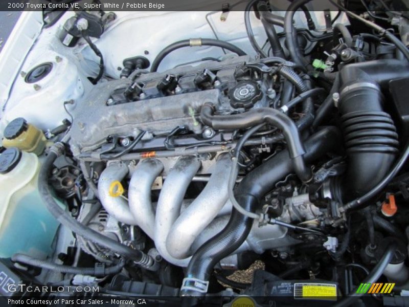 Super White / Pebble Beige 2000 Toyota Corolla VE