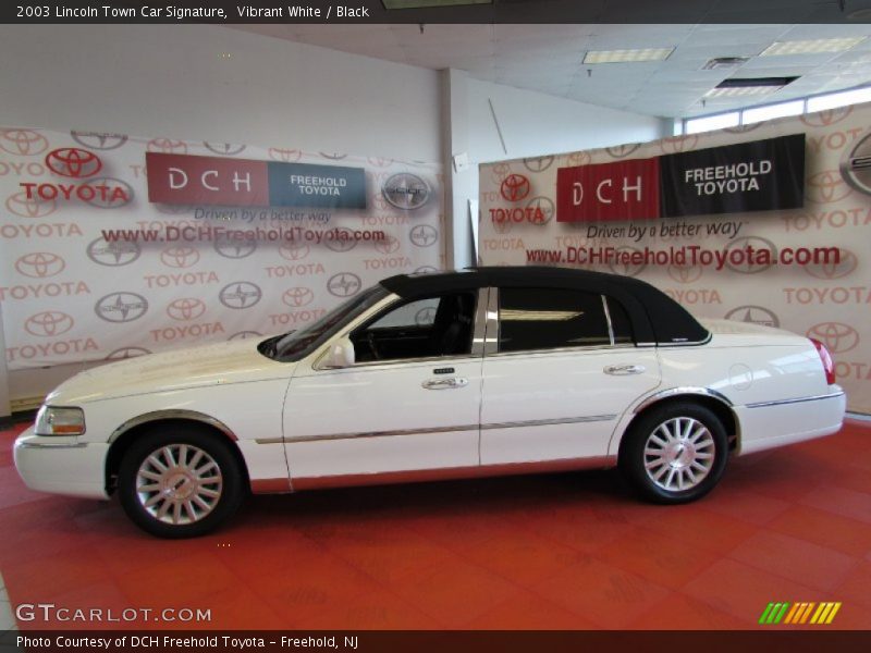 Vibrant White / Black 2003 Lincoln Town Car Signature
