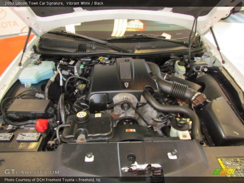 Vibrant White / Black 2003 Lincoln Town Car Signature