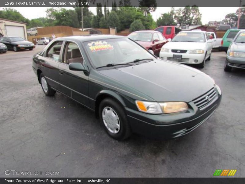 Woodland Pearl / Gray 1999 Toyota Camry LE