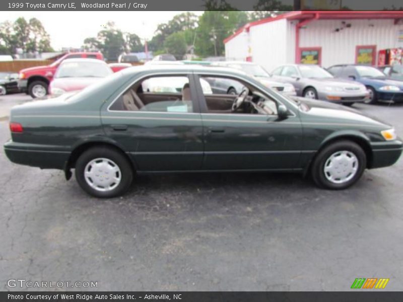 Woodland Pearl / Gray 1999 Toyota Camry LE