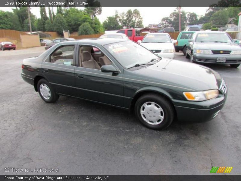 Woodland Pearl / Gray 1999 Toyota Camry LE