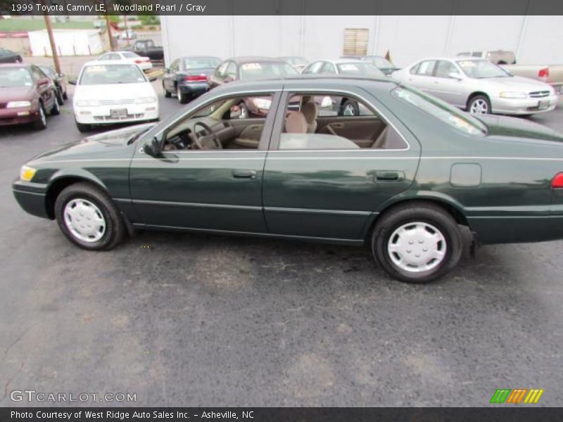 Woodland Pearl / Gray 1999 Toyota Camry LE