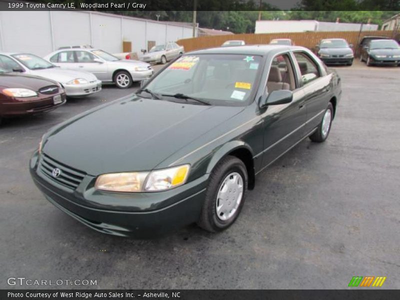 Woodland Pearl / Gray 1999 Toyota Camry LE