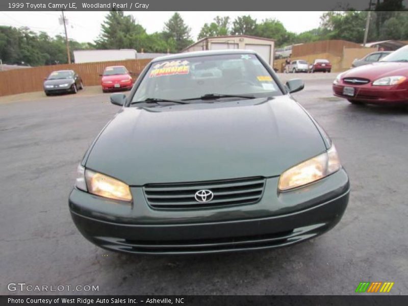 Woodland Pearl / Gray 1999 Toyota Camry LE