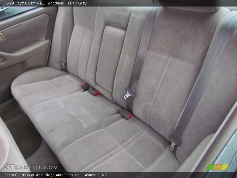 Woodland Pearl / Gray 1999 Toyota Camry LE