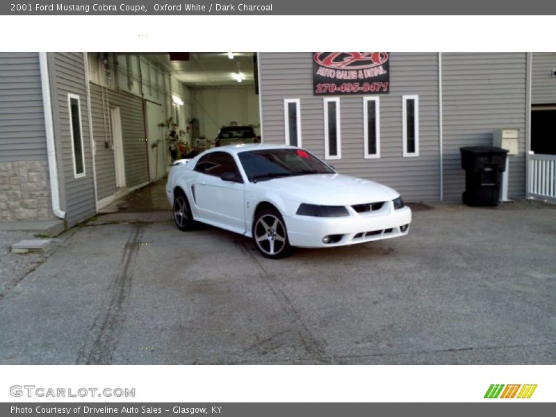 Oxford White / Dark Charcoal 2001 Ford Mustang Cobra Coupe