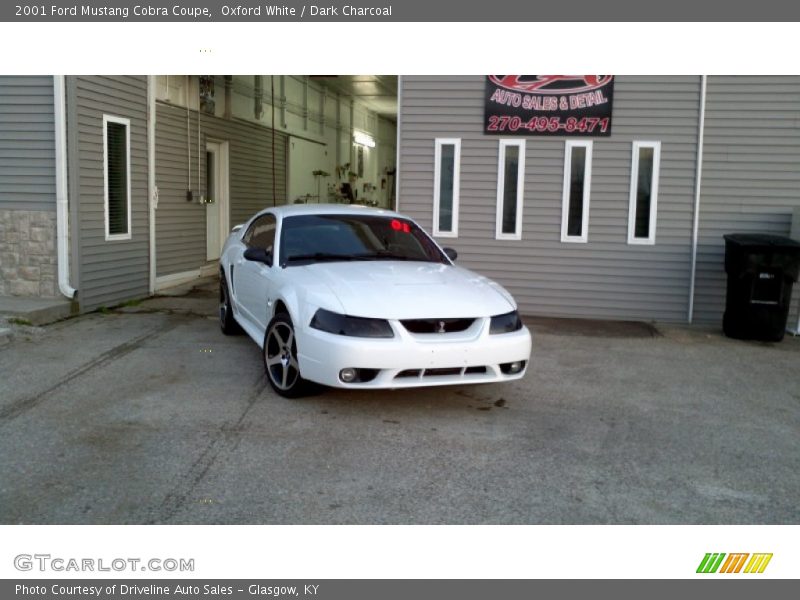 Oxford White / Dark Charcoal 2001 Ford Mustang Cobra Coupe
