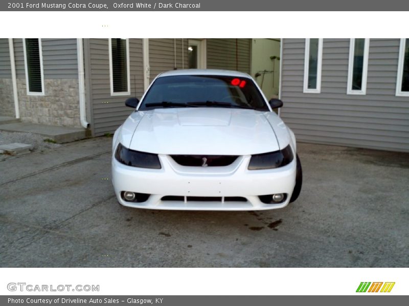Oxford White / Dark Charcoal 2001 Ford Mustang Cobra Coupe