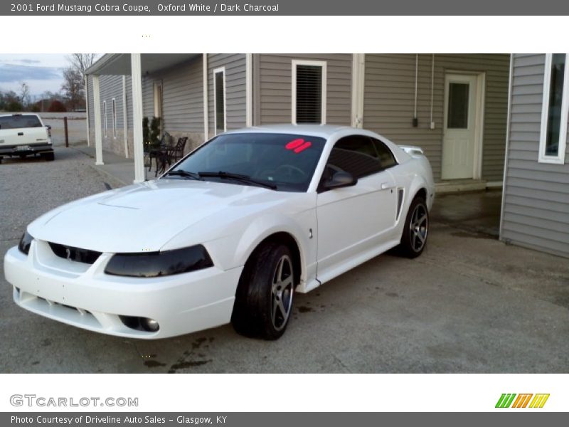 Oxford White / Dark Charcoal 2001 Ford Mustang Cobra Coupe