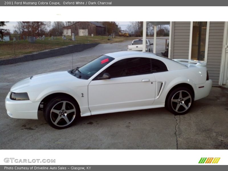 Oxford White / Dark Charcoal 2001 Ford Mustang Cobra Coupe