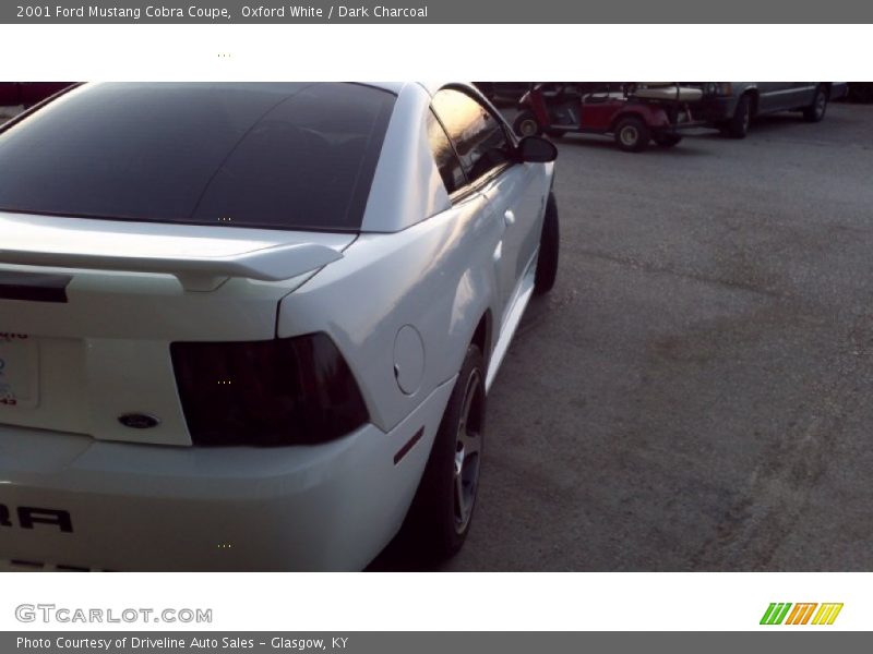 Oxford White / Dark Charcoal 2001 Ford Mustang Cobra Coupe