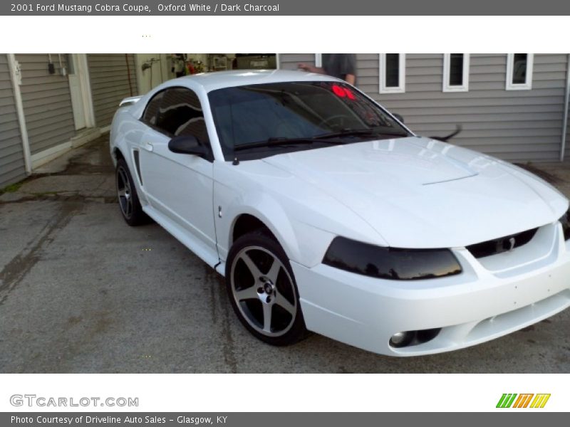 Oxford White / Dark Charcoal 2001 Ford Mustang Cobra Coupe