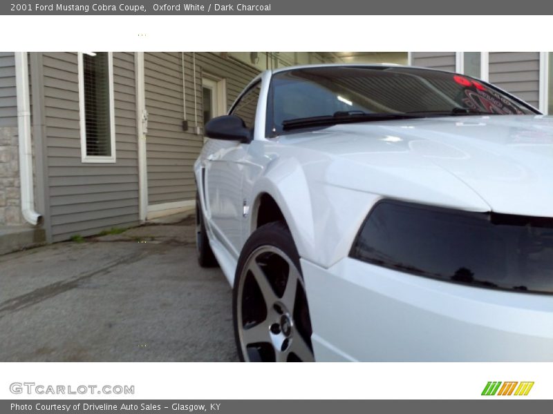 Oxford White / Dark Charcoal 2001 Ford Mustang Cobra Coupe