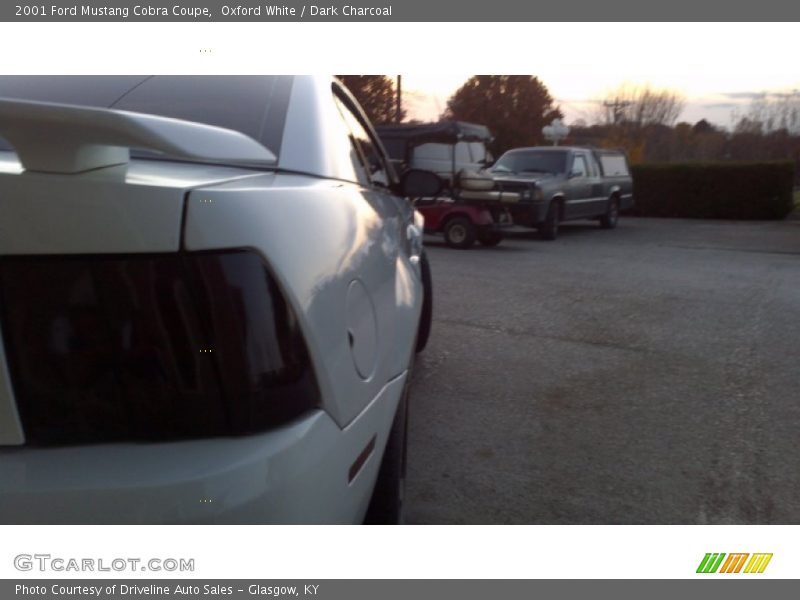 Oxford White / Dark Charcoal 2001 Ford Mustang Cobra Coupe