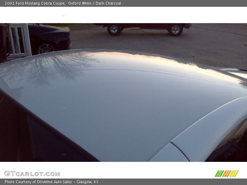 Oxford White / Dark Charcoal 2001 Ford Mustang Cobra Coupe
