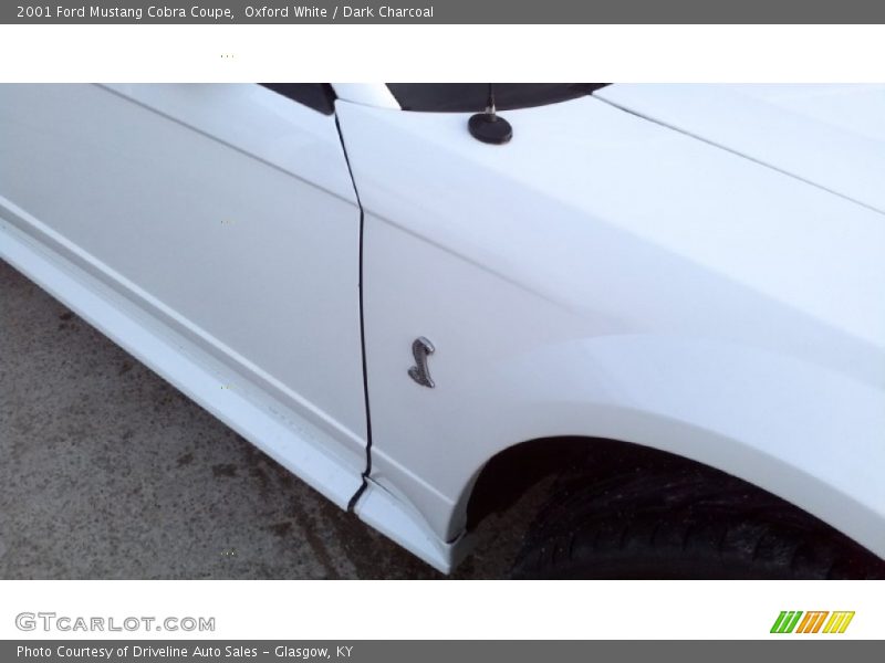 Oxford White / Dark Charcoal 2001 Ford Mustang Cobra Coupe