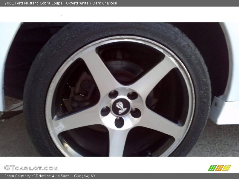 Oxford White / Dark Charcoal 2001 Ford Mustang Cobra Coupe