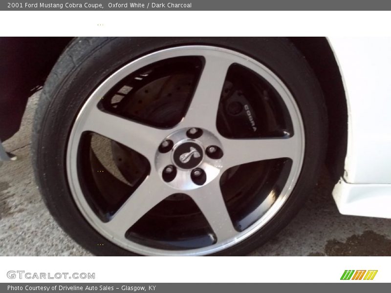 Oxford White / Dark Charcoal 2001 Ford Mustang Cobra Coupe