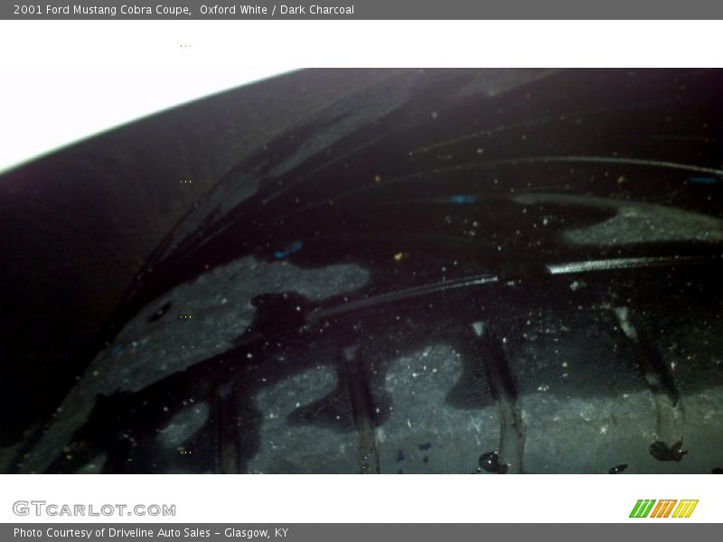 Oxford White / Dark Charcoal 2001 Ford Mustang Cobra Coupe