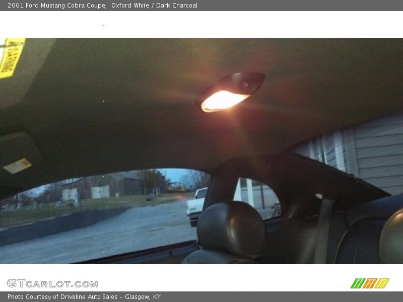 Oxford White / Dark Charcoal 2001 Ford Mustang Cobra Coupe