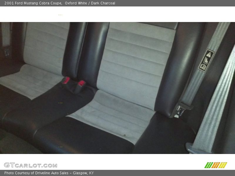 Oxford White / Dark Charcoal 2001 Ford Mustang Cobra Coupe