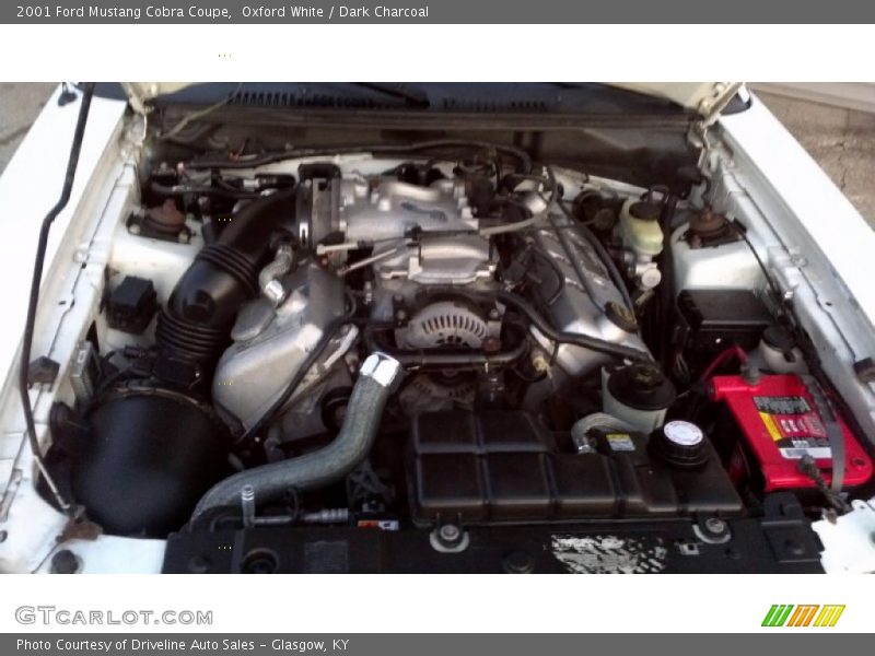  2001 Mustang Cobra Coupe Engine - 4.6 Liter SVT DOHC 32-Valve V8