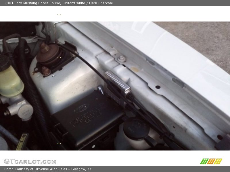 Oxford White / Dark Charcoal 2001 Ford Mustang Cobra Coupe