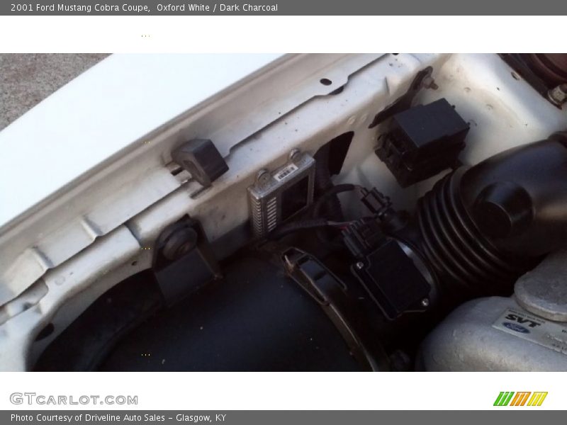 Oxford White / Dark Charcoal 2001 Ford Mustang Cobra Coupe