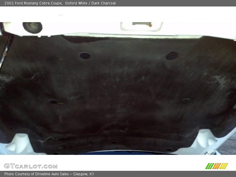 Oxford White / Dark Charcoal 2001 Ford Mustang Cobra Coupe