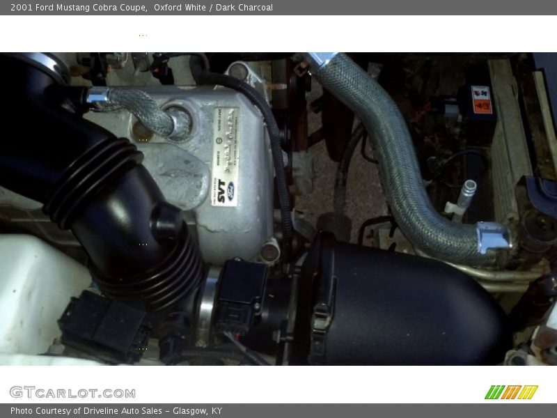  2001 Mustang Cobra Coupe Engine - 4.6 Liter SVT DOHC 32-Valve V8