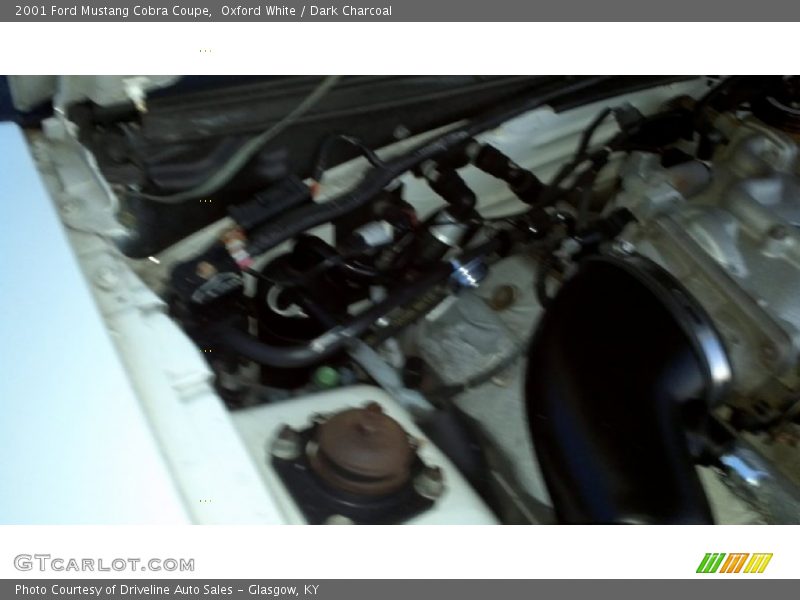 Oxford White / Dark Charcoal 2001 Ford Mustang Cobra Coupe