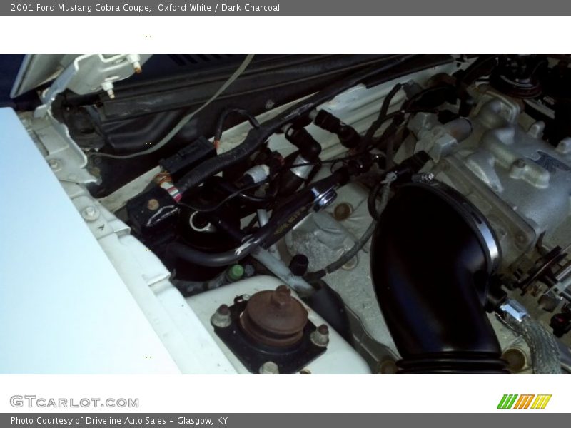 Oxford White / Dark Charcoal 2001 Ford Mustang Cobra Coupe